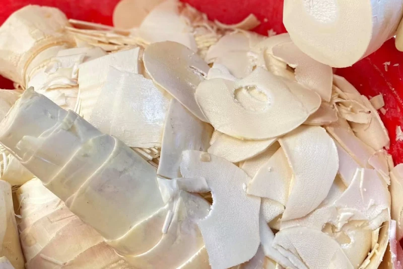 Măng tươi có thể gây ngộ độc nếu chế biến sai.