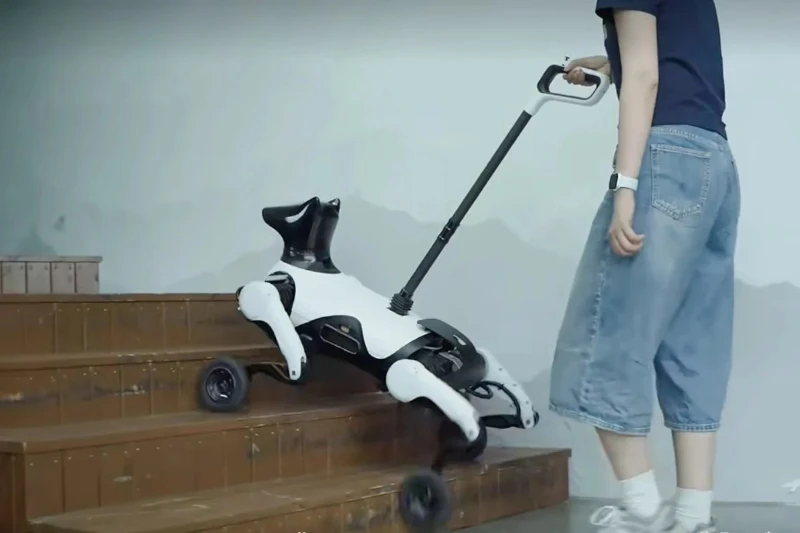 Robot chó dẫn đường của Viện Nghiên cứu Zhiyuan